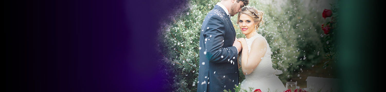 christmas wedding entertainment ideas