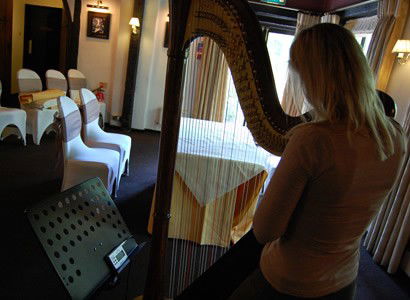 Tuniing the harp