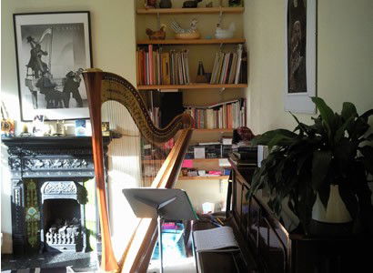 Harp in lounge at home