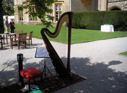 Harp set up outdoors