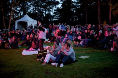Audience as night falls