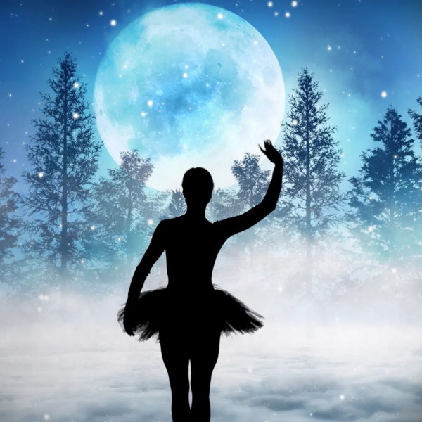 The Christmas Shadow Show