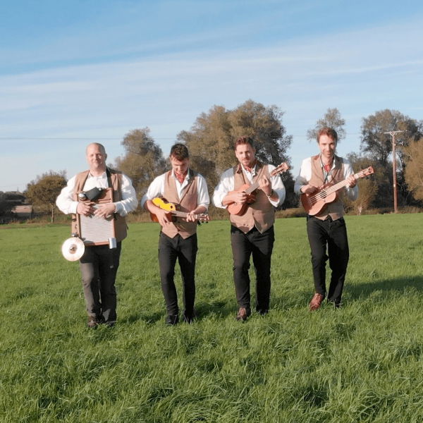 Uke Springsteen Acoustic Band Buckinghamshire