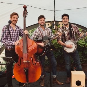 The Cotton Picadillys Bluegrass/ Country Band London