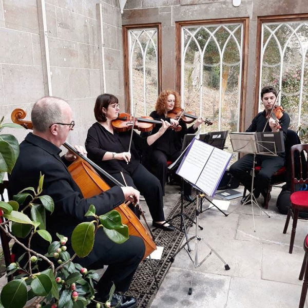 The Stirlingshire String Quartet
