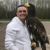 Falconry UK