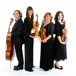 St Swithuns Strings String Quartet Bedfordshire