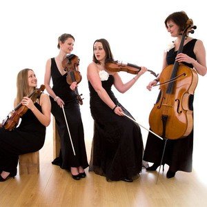 Abele Strings String Quartet Hertfordshire