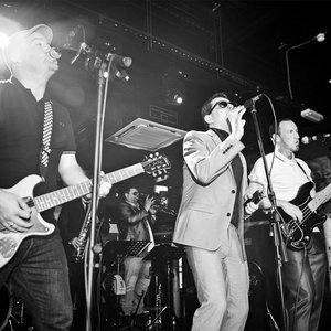 All Star Ska Tribute Act Monmouthshire