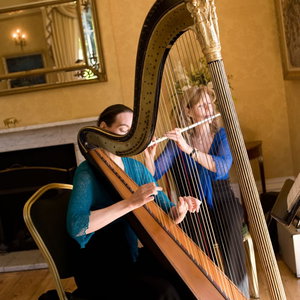 Harmony Duo Classical Musician London