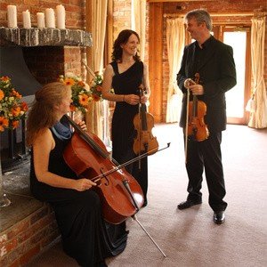 City String Trio String Trio for Weddings London