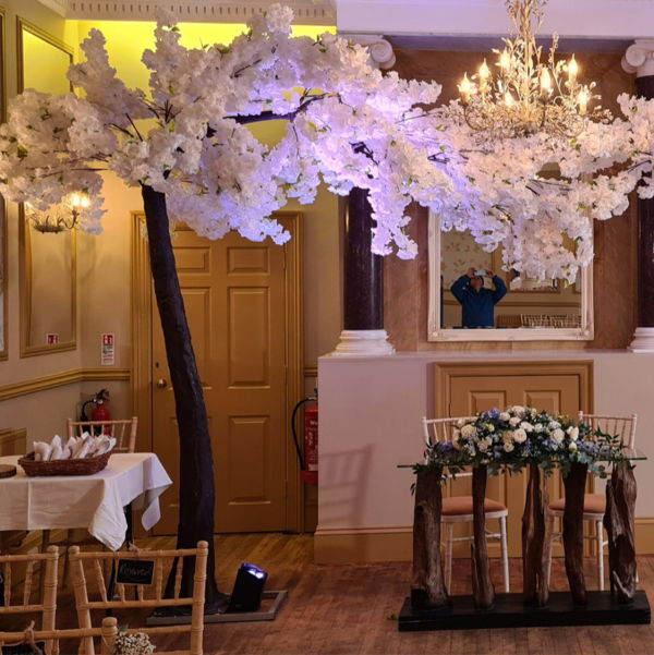 Blossom Tree Hire Blossom Canopy Tree Hire Items Gloucestershire