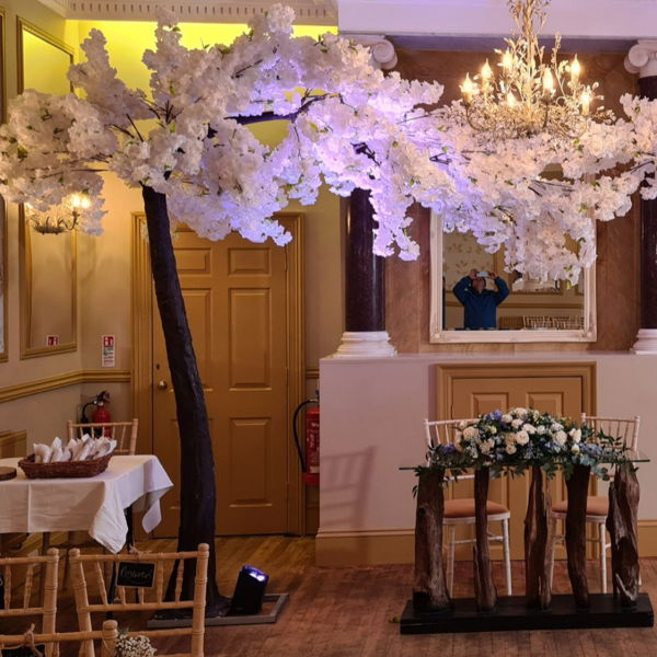 Blossom Tree Hire