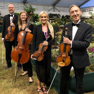 Canterbury Strings String Quartet Kent