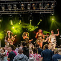 Algorithm CHIC Party Disco Band