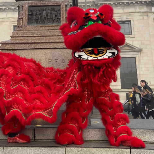 Chinese Lion Dancers Chinese New Year Lancashire