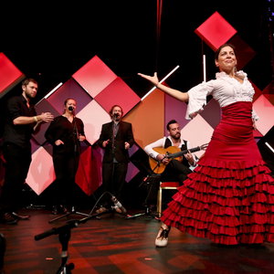 The Flamenco Company Latin, Salsa or Cuban Band Midlothian
