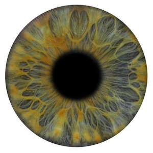 Eye Art Photography Photo Booth London