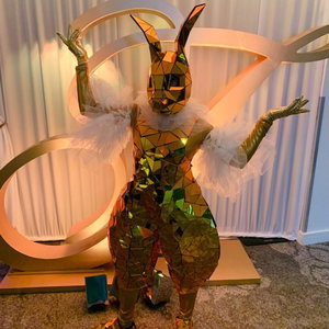 Golden Bunnies Costume Character Lancashire