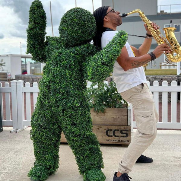 Funky Flower And Hedge People