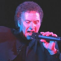 The Voice Of Tom Jones