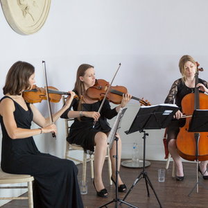 Egeria Strings String Quartet Surrey