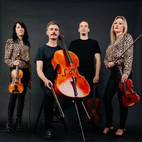 Rodrigo Strings String Quartet Merseyside