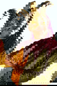 Jugglers In Jester Costume