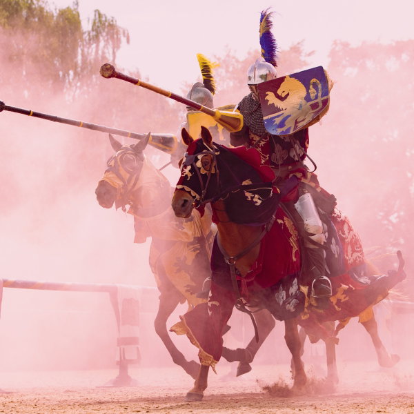 Knight Jousting and Stunt Shows