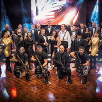 Live Action Stunt Team