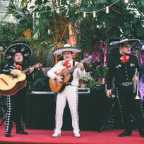 Mariachi King