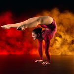 View the artist's profile Contortionist Hannah Circus Performer Review