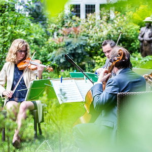 Status Cymbal String Quartet London