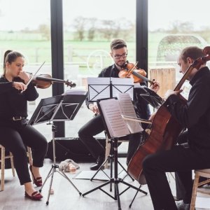 Moore Strings String Quartet South Yorkshire