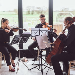 Moore Strings String Quartet South Yorkshire