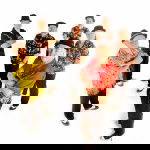 View the artist's profile Jiveoholics Rock n Roll Swing Band Review