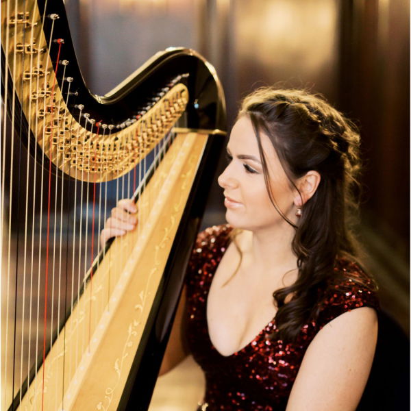 The Function Harpist