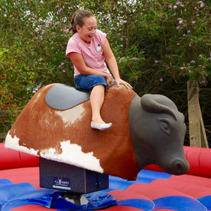 Rodeo Rides Giant and Outdoor Games Lincolnshire