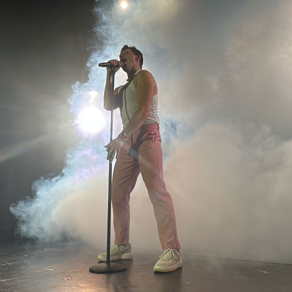 Harry Styles Tribute UK