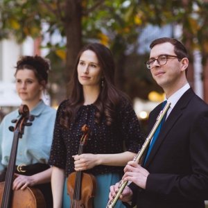 The Clair De Lune Trio Flute, Violin and Cello Trio Hertfordshire