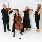 Solar Strings Classical Musician Review Wedding