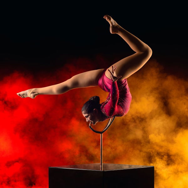 Bespoke Spinning Contortionist