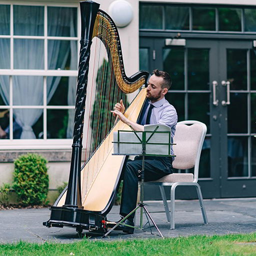 Surrey Harpist
