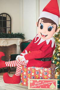 The Christmas Elf Street Performer Norfolk