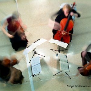 The Scottish String Quartet String Quartet Edinburgh