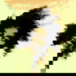 The Louise Parker Quartet Jazz Band Review  