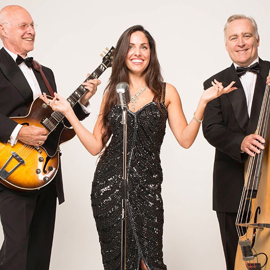 The Sky Lounge Jazz Trio