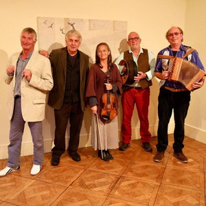 The Thirty-Nine Steps Trio Ceilidh Band Somerset