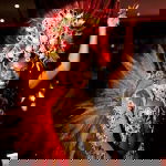 Tropicalia Show Band Latin, Salsa or Cuban Band Review  