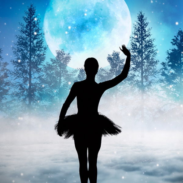 Virtual Christmas Shadow Show